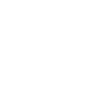 Trump20242816's emblem