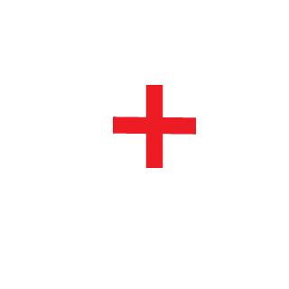 BigBearMax's emblem