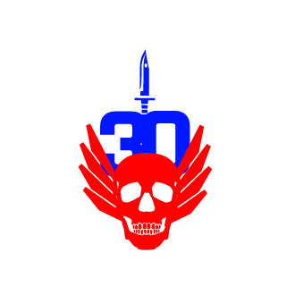 eta30seconds's emblem