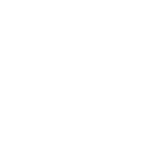 IIResQII's emblem
