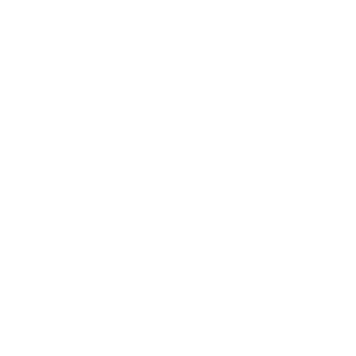 8550228's emblem