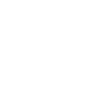N7QC_Chuck's emblem