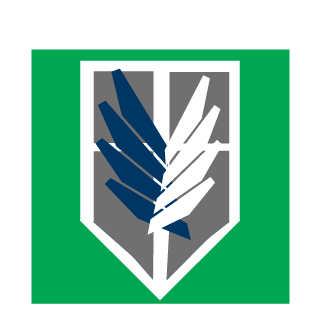 Dmanthelucky's emblem