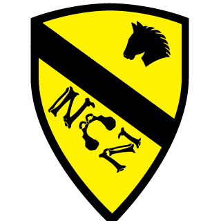 RareSpirit's emblem