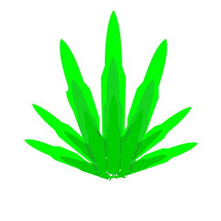 beisodebuseta's emblem
