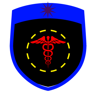 HayvLStore's emblem