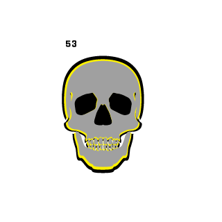 The 53rd's emblem