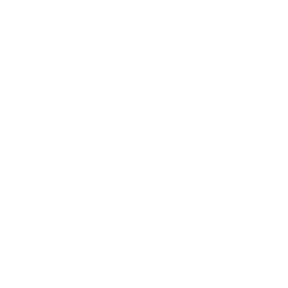 c0pyri8's emblem