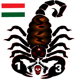 13siz's emblem