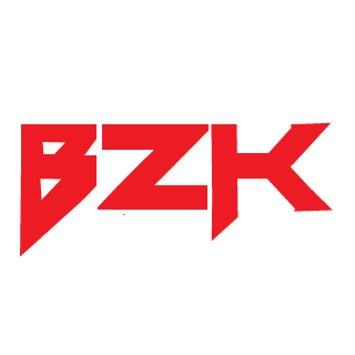 BerZerK Gaming's emblem