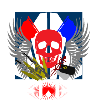 Derpy1Point1's emblem