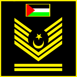 SchizophreneTURK's emblem