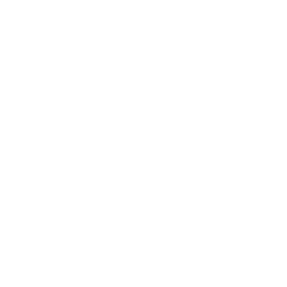 AutoPointer's emblem