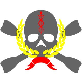 PI91's emblem