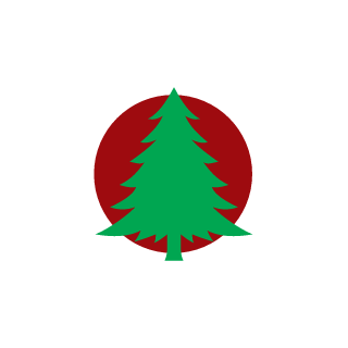 lucasds2011's emblem