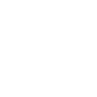 ARNOLD-VANDAM's emblem