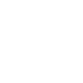 NinjaOfTheNite's emblem