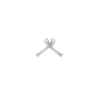 PL-GeneralPeron's emblem