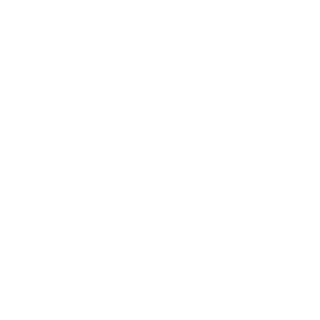 FastiDGo's emblem