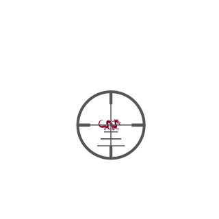 Vearn29's emblem