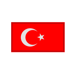1907HellSingTR's emblem