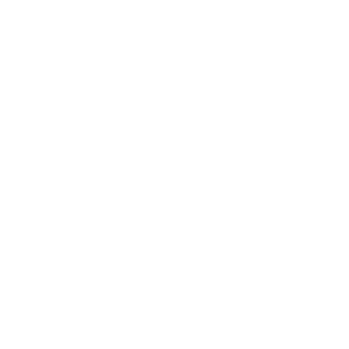 FOX_SnakeEater's emblem