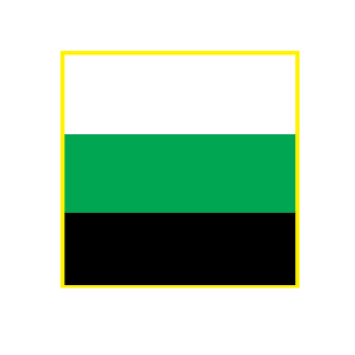 PacanSyst3ms's emblem