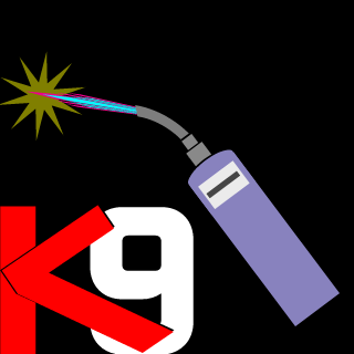 Sidney Amaral11's emblem