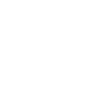NemesisAsh's emblem