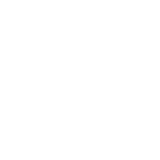 Ic3e4gl3's emblem
