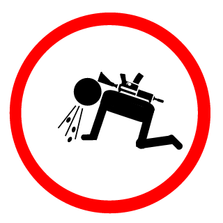 Detrroite's emblem