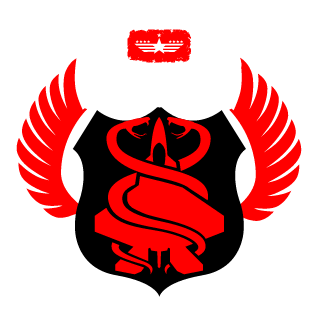 BigDrSauce's emblem