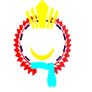 DSZ0M's emblem