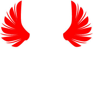 PsyclonHalo9's emblem