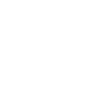 ssk953's emblem
