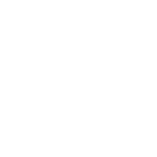 ADM-BurnSoldier's emblem
