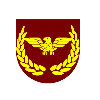 WonderFiend494's emblem