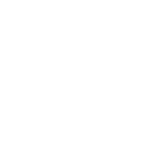 Leshiy_NVZ's emblem