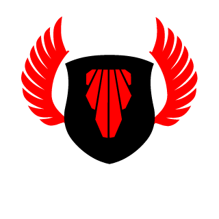 admshinysides's emblem