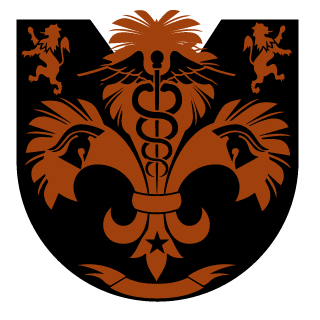 american combatants's emblem