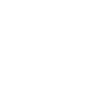 DptBear's emblem