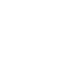 SoulPa1nn's emblem