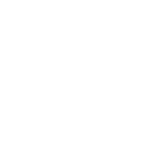 GEOgeorgian001's emblem