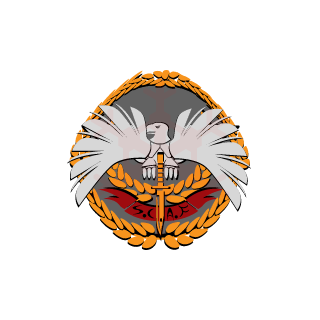 2stroun2's emblem