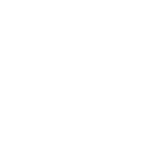 MARTINSAVIADOR's emblem