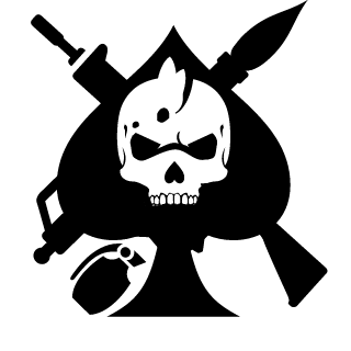 NaoSeiJogar11's emblem
