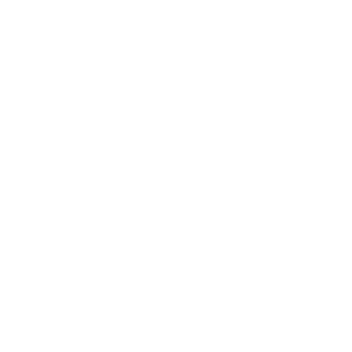 GalvaoBR123's emblem