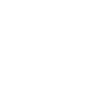 sk8wildXL's emblem
