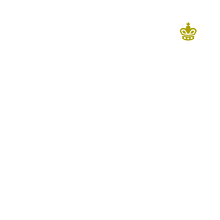TheBossForYou's emblem