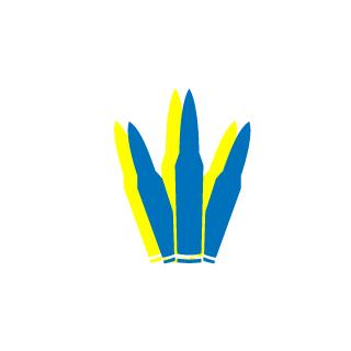 1TF_IT's emblem